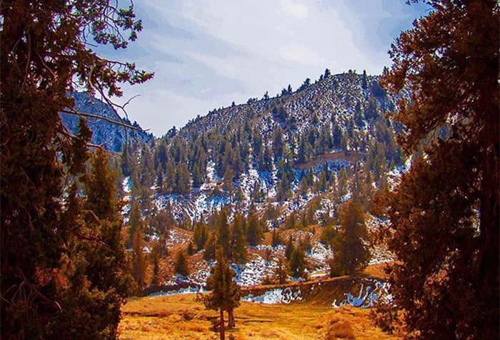 The Gorges in Ziarat